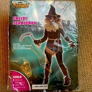 Creepy Scarecrow costumes